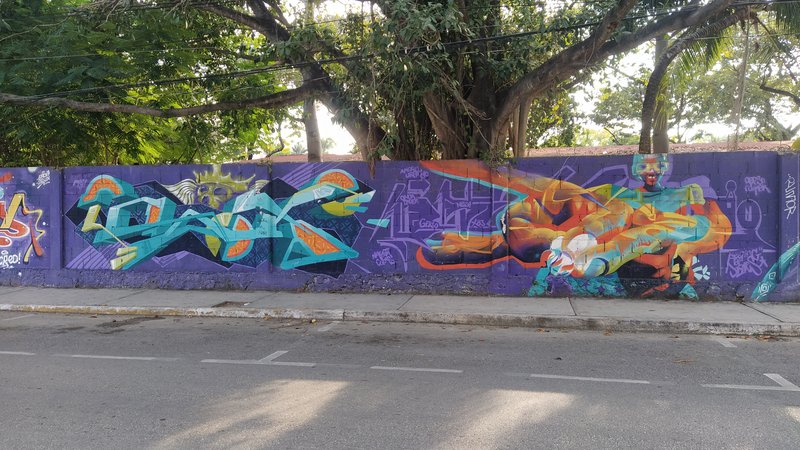 Street Art, Playa del Carmen, Quintana Roo, México