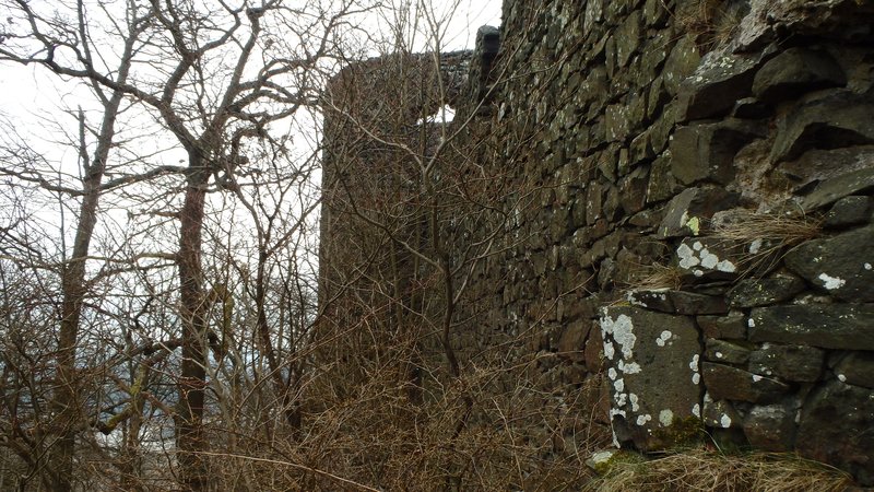 Ronov castle (ruins)